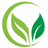 Eco-Friendly Practices
